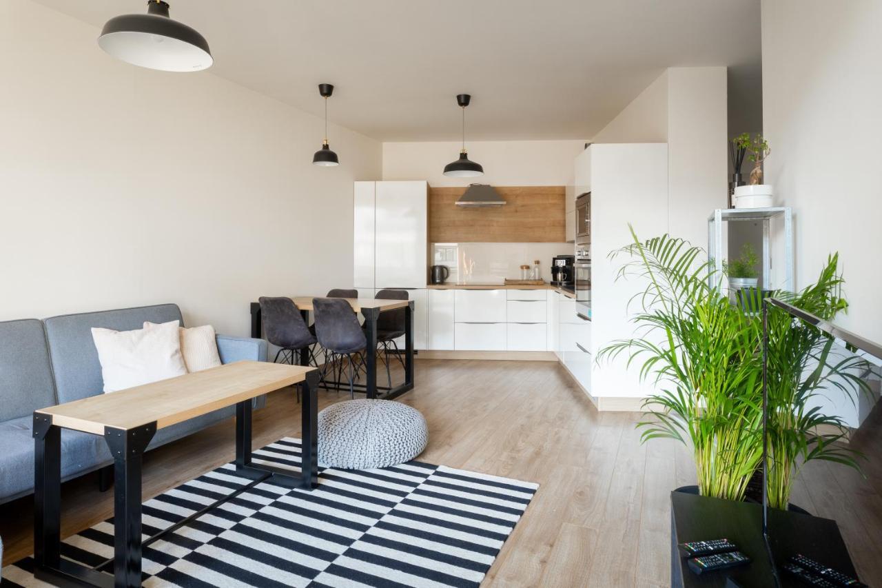 Quiet & Cozy Apartment Old Town - Free Underground Parking Кошице Екстер'єр фото